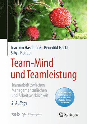 bokomslag Team-Mind und Teamleistung