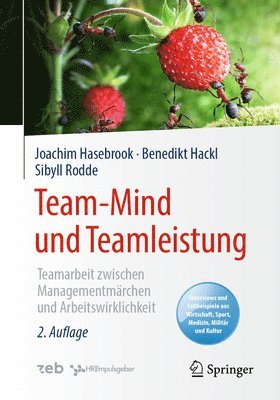 Team-Mind und Teamleistung 1
