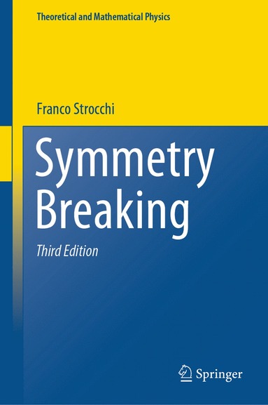 bokomslag Symmetry Breaking