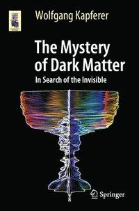 bokomslag The Mystery of Dark Matter