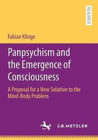 bokomslag Panpsychism and the Emergence of Consciousness