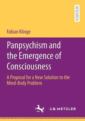 Fabian Klinge - Panpsychism and the Emergence of Consciousness, Häftad