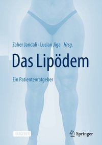 bokomslag Das  Lipdem