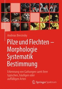 bokomslag Pilze und Flechten - Morphologie, Systematik, Bestimmung