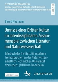 bokomslag Umrisse einer Dritten Kultur im interdisziplinren Zusammenspiel zwischen Literatur und Naturwissenschaft