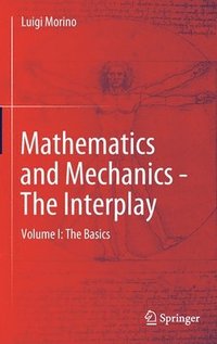 bokomslag Mathematics and Mechanics - The Interplay