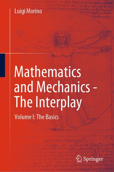 bokomslag Mathematics and Mechanics - The Interplay