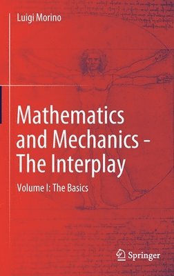 Luigi Morino - Mathematics and Mechanics - The Interplay, Inbunden