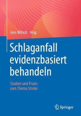 bokomslag Schlaganfall evidenzbasiert behandeln