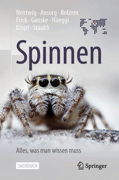 Wolfgang Nentwig, Jutta Ansorg, Angelo Bolzern, Holger Frick, Anne-Sarah Ganske, Ambros Hänggi, Christian Kropf, Anna Stäubli - Spinnen - Alles, was man wissen muss, Häftad