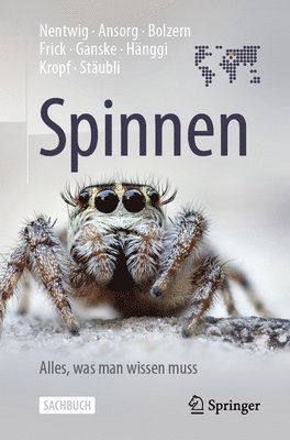 bokomslag Spinnen - Alles, was man wissen muss