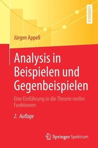 bokomslag Analysis in Beispielen und Gegenbeispielen