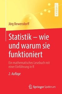 bokomslag Statistik  wie und warum sie funktioniert