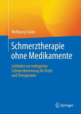 bokomslag Schmerztherapie ohne Medikamente