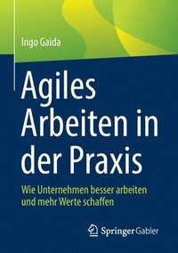 bokomslag Agiles Arbeiten in der Praxis