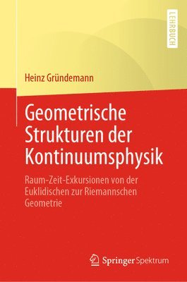 bokomslag Geometrische Strukturen der Kontinuumsphysik