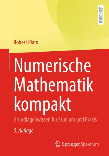 Robert Plato - Numerische Mathematik kompakt, Häftad