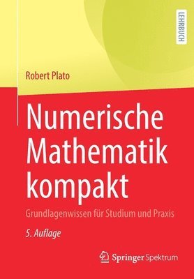 Robert Plato - Numerische Mathematik kompakt, Häftad