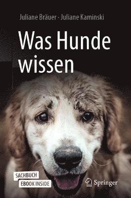 bokomslag Was Hunde wissen