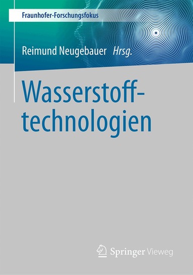 Reimund Neugebauer - Wasserstofftechnologien, Inbunden