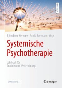 bokomslag Systemische Psychotherapie