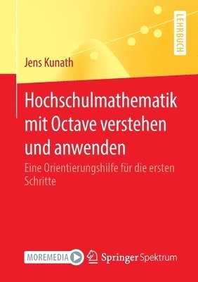 bokomslag Hochschulmathematik mit Octave verstehen und anwenden