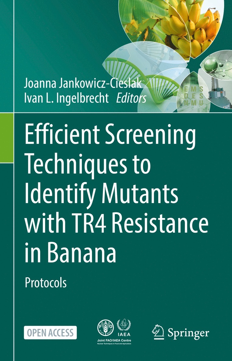 Joanna Jankowicz-Cieslak, Ivan L. Ingelbrecht - Efficient Screening Techniques to Identify Mutants with TR4 Resistance in Banana, Inbunden