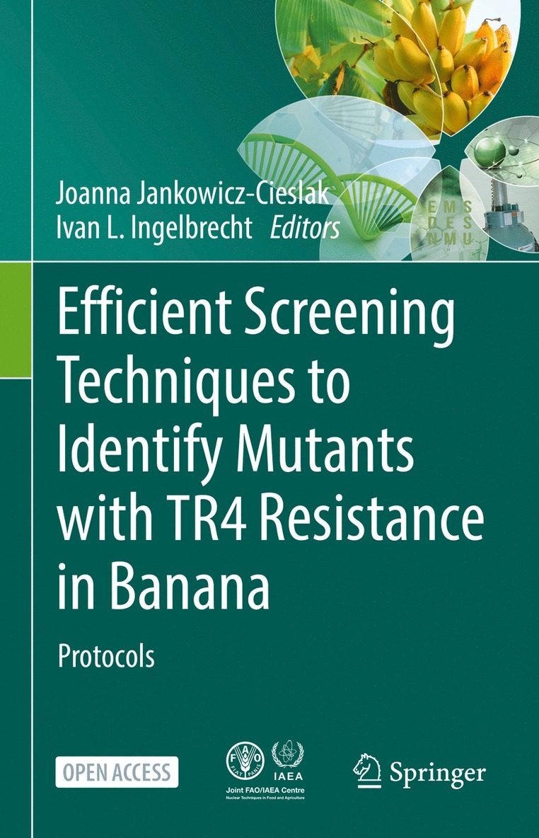 Efficient Screening Techniques to Identify Mutants with TR4 Resistance in Banana 1