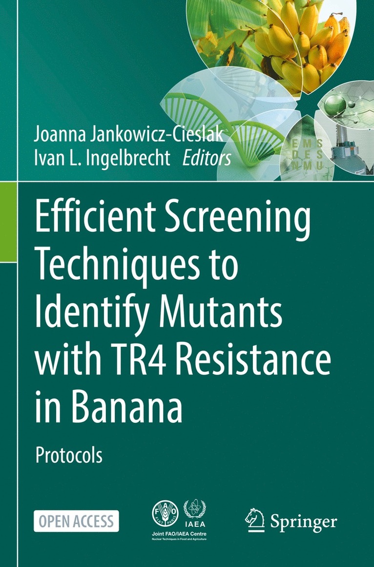 Joanna Jankowicz-Cieslak, Ivan L. Ingelbrecht - Efficient Screening Techniques to Identify Mutants with TR4 Resistance in Banana, Häftad