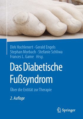 bokomslag Das Diabetische Fußsyndrom