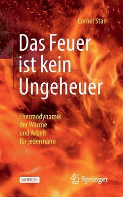 bokomslag Das Feuer ist kein Ungeheuer