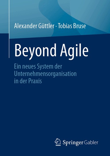 Alexander Güttler, Tobias Bruse - Beyond Agile, Häftad