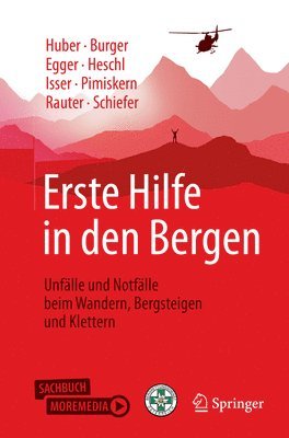 bokomslag Erste Hilfe in den Bergen