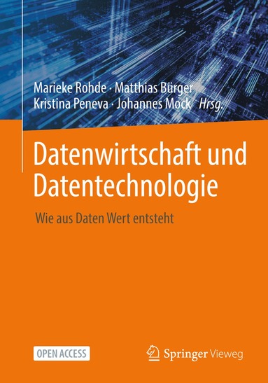 bokomslag Datenwirtschaft und Datentechnologie