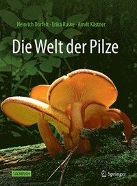 bokomslag Die Welt der Pilze