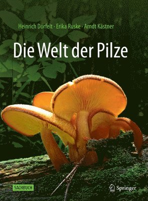 bokomslag Die Welt der Pilze