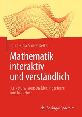 bokomslag Mathematik interaktiv und verstndlich