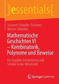 bokomslag Mathematische Geschichten VI  Kombinatorik, Polynome und Beweise