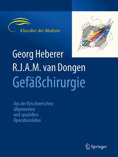 Georg Heberer, R.J.A.M. van Dongen - Gefäßchirurgie, Häftad