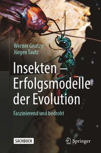 bokomslag Insekten - Erfolgsmodelle der Evolution
