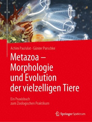 bokomslag Metazoa - Morphologie und Evolution der vielzelligen Tiere