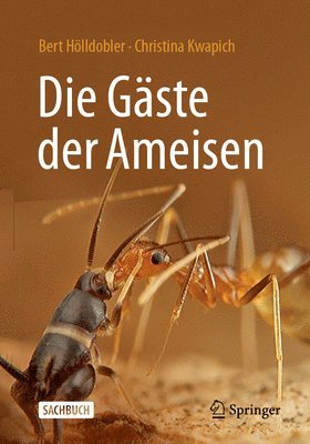 Bert Hölldobler, Christina Kwapich - Die Gäste der Ameisen, Häftad