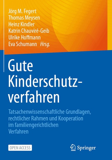 Jörg M. Fegert, Thomas Meysen, Heinz Kindler, Katrin Chauviré-Geib, Ulrike Hoffmann, Eva Schumann - Gute Kinderschutzverfahren, Häftad