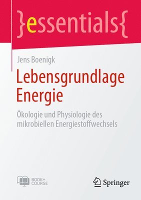 bokomslag Lebensgrundlage Energie