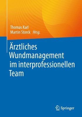 bokomslag rztliches Wundmanagement im interprofessionellen Team