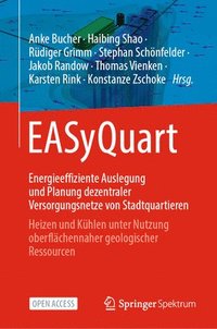 bokomslag EASyQuart - Energieeffiziente Auslegung und Planung dezentraler Versorgungsnetze von Stadtquartieren