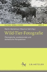 bokomslag Wild-Tier-Fotografie