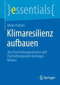 bokomslag Klimaresilienz aufbauen