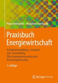 bokomslag Praxisbuch Energiewirtschaft