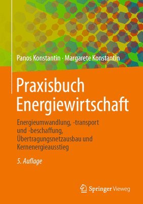 bokomslag Praxisbuch Energiewirtschaft